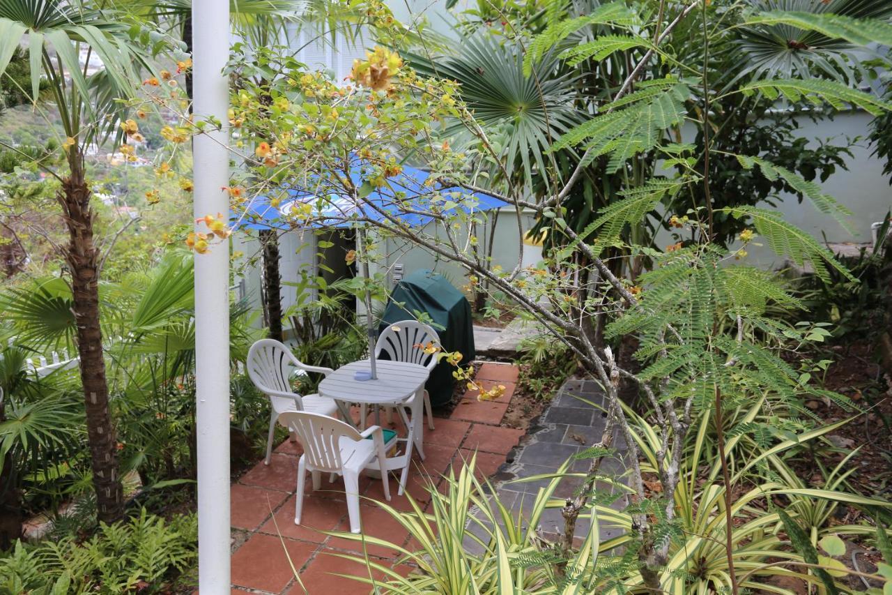 The Green Iguana Hotel Charlotte Amalie Dış mekan fotoğraf