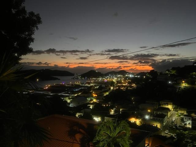 The Green Iguana Hotel Charlotte Amalie Dış mekan fotoğraf