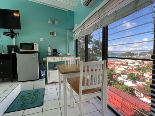 The Green Iguana Hotel Charlotte Amalie Dış mekan fotoğraf