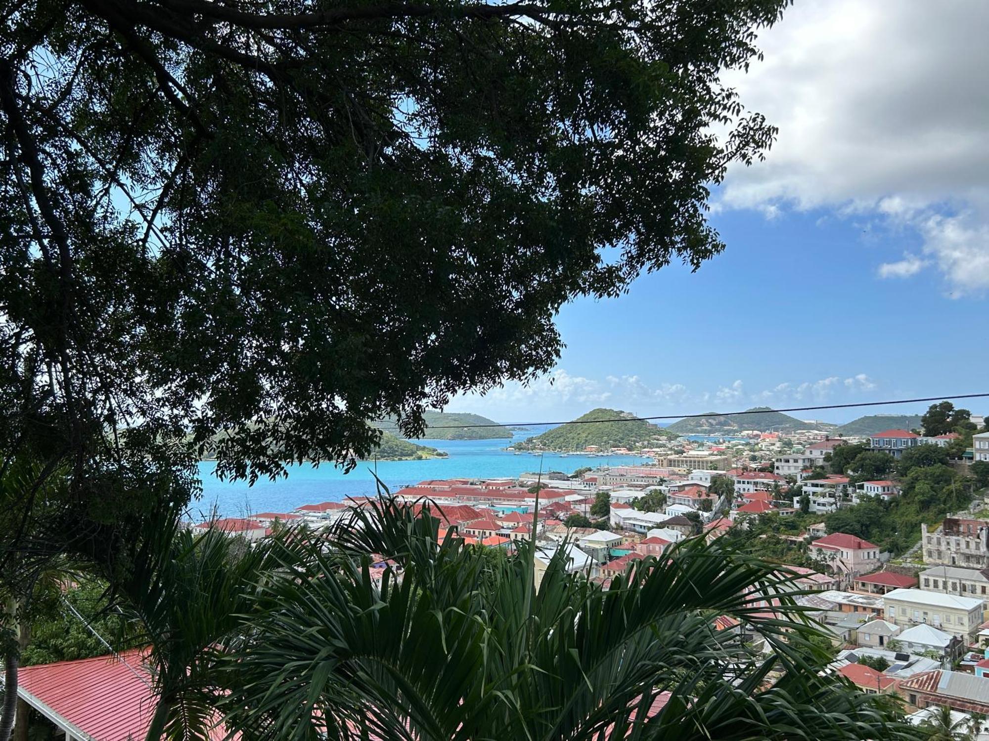 The Green Iguana Hotel Charlotte Amalie Dış mekan fotoğraf